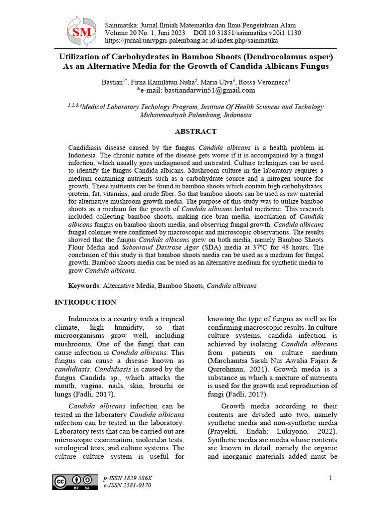 Bamboo Shoots as Fungal Growth Media | PDF | Candida (Fungus) | Fungus