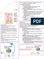 Pain + Analgesia Sum Sheet