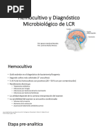 LCR en Meningitis Bacterianas y Virales 2024-1 | PDF | Meningitis | Las ...