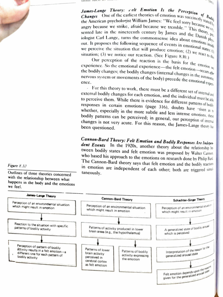 Theories Of Emotion Pdf Emotions Perception