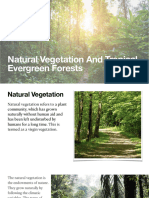 Natural Vegatations & Tropical Evergreen Forests