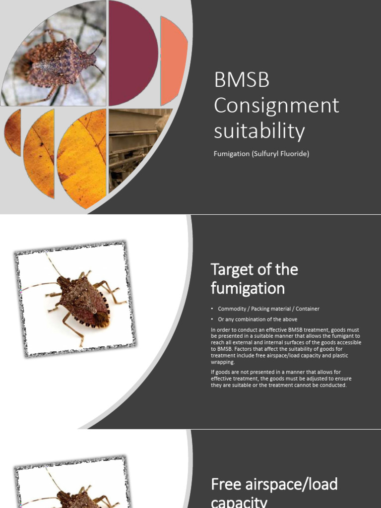 SUMMARY BMSB Consignment Suitability | PDF
