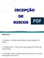 Treinamento Percep o de Riscos Ppt 1680578721