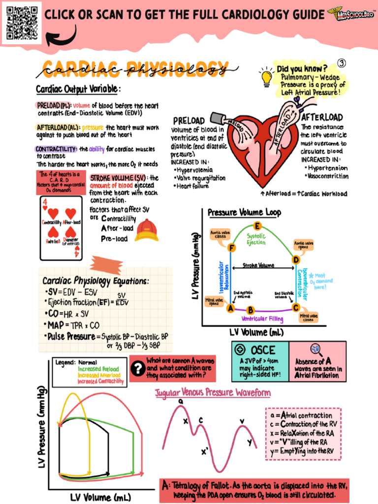 MedSchoolBro Cardiology Study Guide | PDF | Wellness