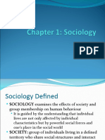 Chapter 1 - Intro To Sociology