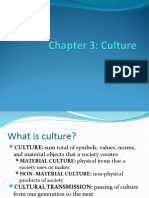 Chapter 3 - Culture