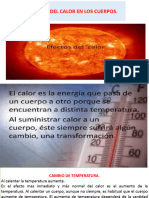 Efectos Del Calor