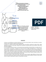 Proyecto Obdulimar