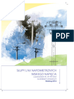 Slupy Linii Napowietrznych NN C.Z.E.pas - Projekt