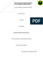 Portafolio de Evidencias (M.iv)