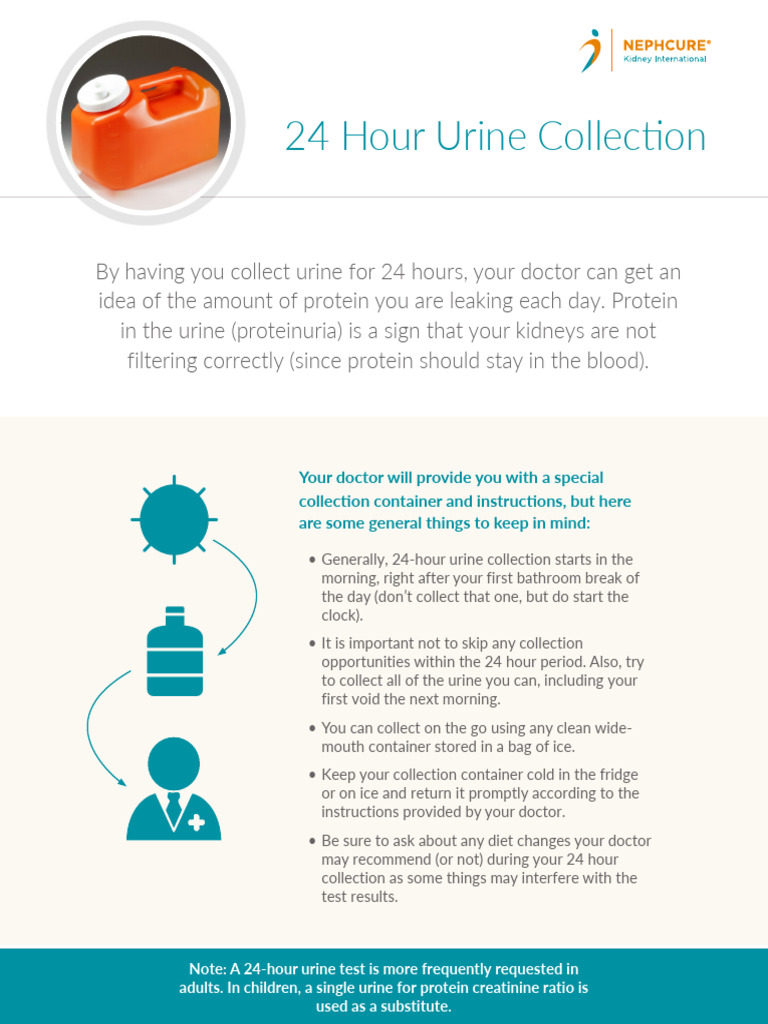 24-Hour Urine Collection Instructions | PDF