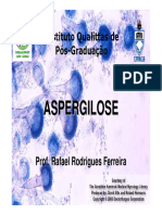 Aspergilose SEM FOTOS