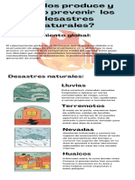 Afiche Desastres Naturales