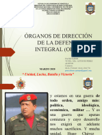 Órganos de Dirección de La Defensa Integral