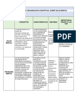 Evidencia Matriz de Organización Conceptual Sobre Salud Mental. AA1-EV01