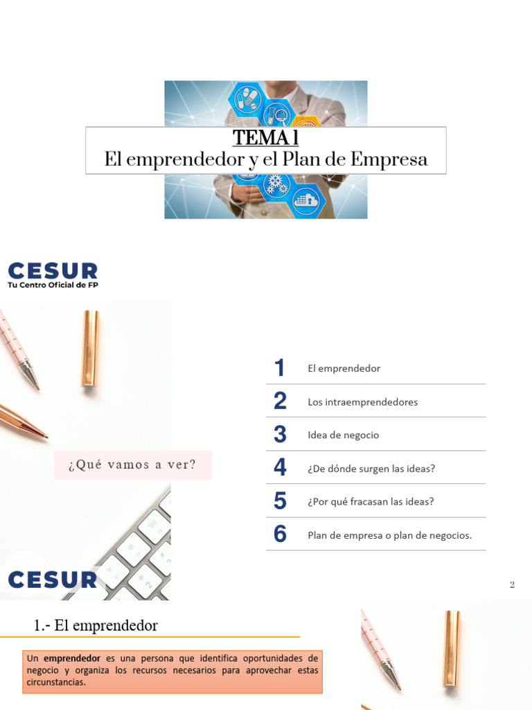 Tema 1. El Emprendedor y El Plan de Empresa | PDF | Iniciativa ...