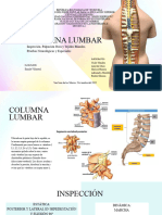 Columna Lumbar Presentación Compatible