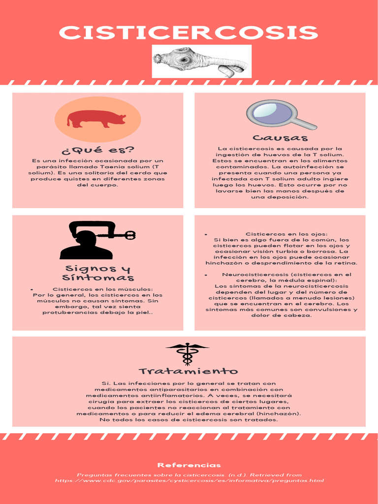 cisticercosis-pdf-ciencias-de-la-salud-sistema-nervioso