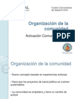 Organizacion de La Comunidad2