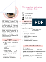 Curriculum Profesional Juvenil Femenino Rosado - 20231107 - 160254 - 0000