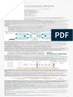 SAFe Cheat Sheet PDF