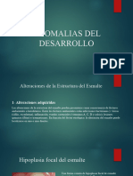 UNIDAD 2 Anomalias Del Desarrollo