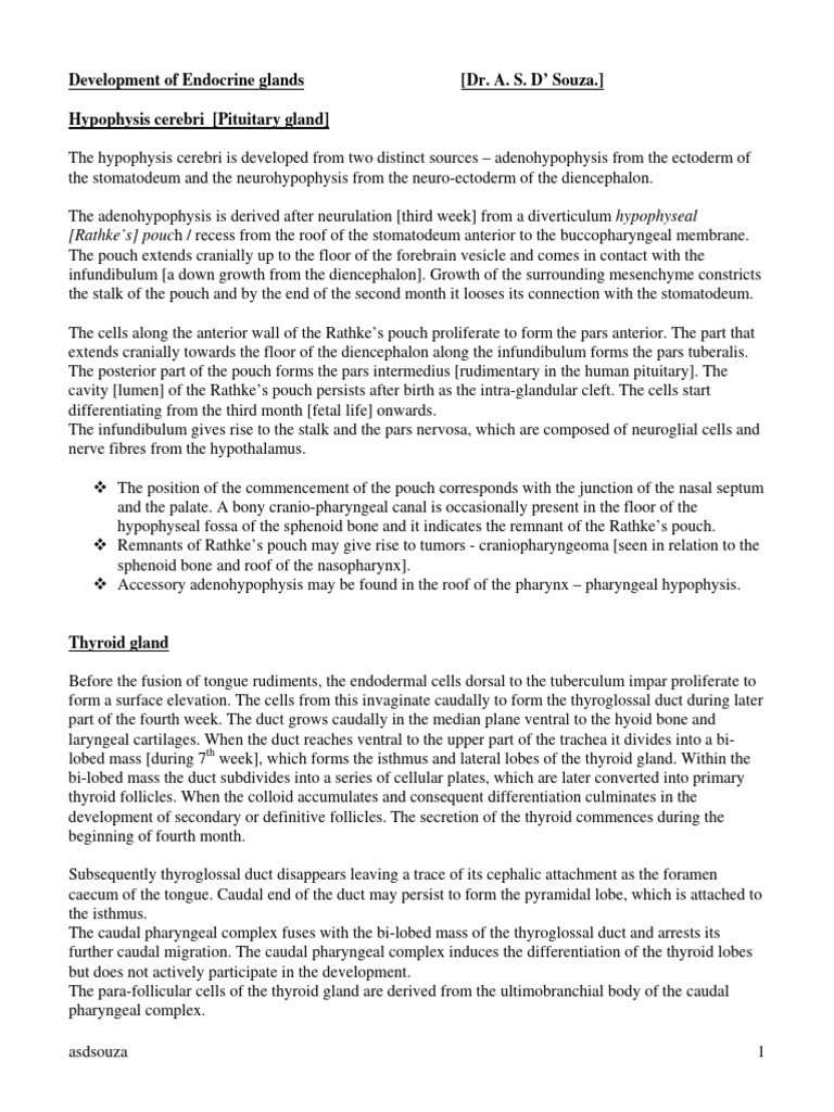 Endocrine embryology pdf pancreas pituitary gland