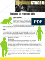 Stages of Human Life Stage 5 Comp - Comprehension