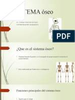 Clase Anatomia Sistema Esqueletico