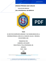 El Delito de Usurpacion Agravada y Sus Consecuencias en La Propiedad Pirvada A Nivel de La Ciudad de Juliaca - Provincia de San Roman