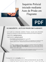 Auto de Prisão em Flagrante