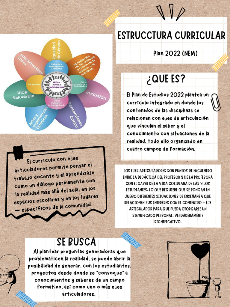 Curriculum NEM | PDF | Plan de estudios | Cognición