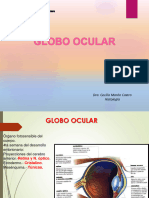 Globo Ocular