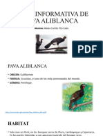 Ficha Informativa de Pava Aliblanca
