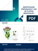 Clase 14 Identificacion Preparacion y Uso Plantas Medicinales