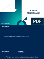 Clase 13 Plantas Medicinales I