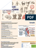 Guia de Estudio Fisiologia Humana