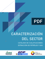 Caracterización Del Sector - 2020 - Cosas Importantes