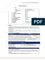 FG-203 Informatica A