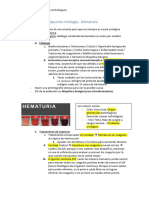 2 Clase Parte 2 Apuntes Urología - Hematuria