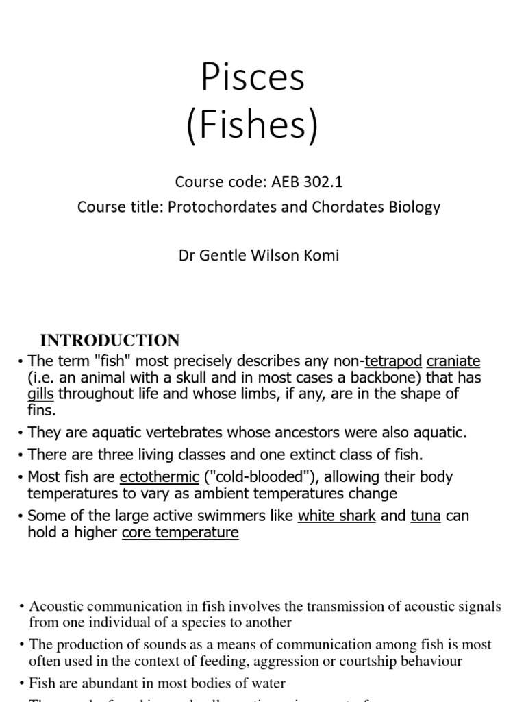 AEB 302.1: Fish Biology Overview | PDF | Reptile | Fish
