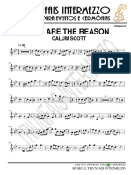 You Are The Reason (Calum Scott) - Violino