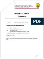 Informe 1 Biometalurgia