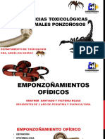 Emponzoñamiento Ofídico Exposicion