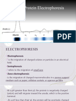 Serum Protein Electrophoresis