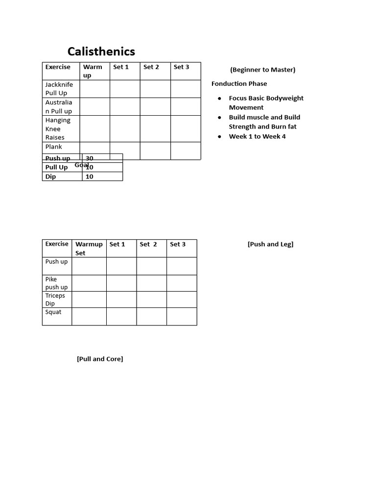 Calisthenics Beginner To Advanced Log | PDF