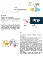 Fichamento - Psicofarmacologia