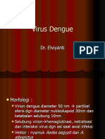 Virus Dengue