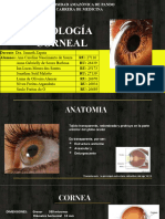 Enfermedades de La Cornea