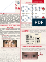 Retinoblastoma PDF